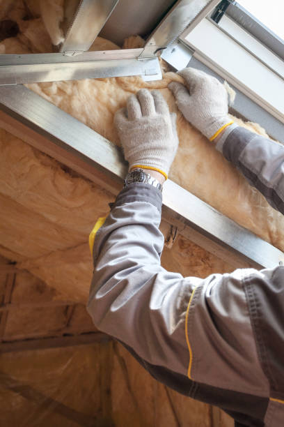 Best Types of Insulation in Al Creek, CO